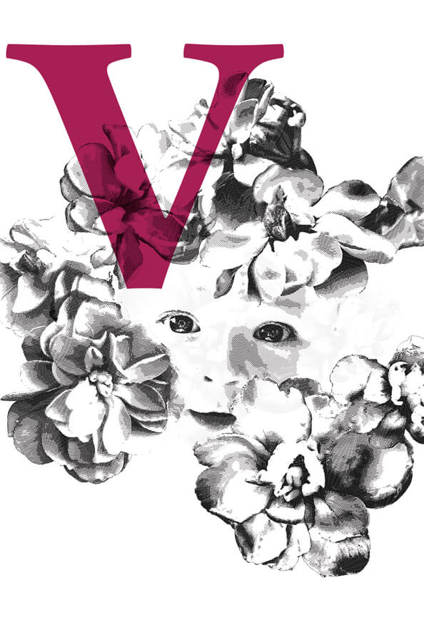 Viola Cuvée