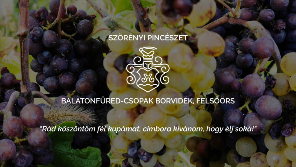 Több mint 50 év a szőlőben: A Szörényi Pincészet története az Öreghegy dűlőn